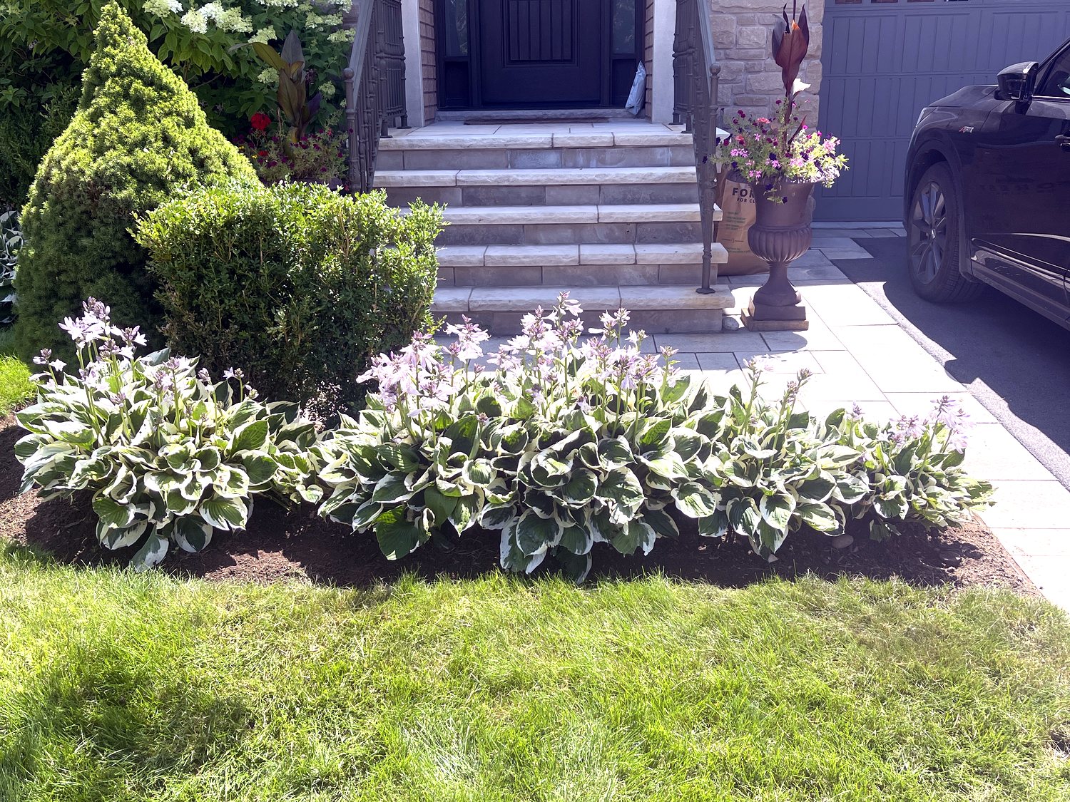 Garden bed after
