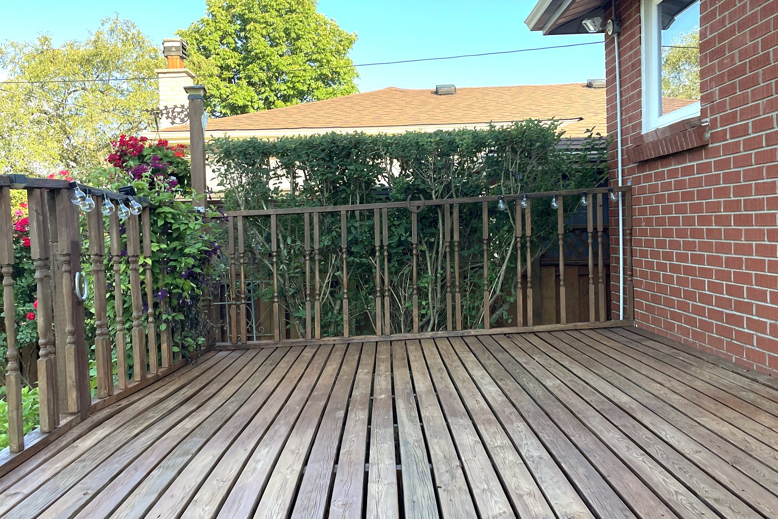 Freshly stained deck
